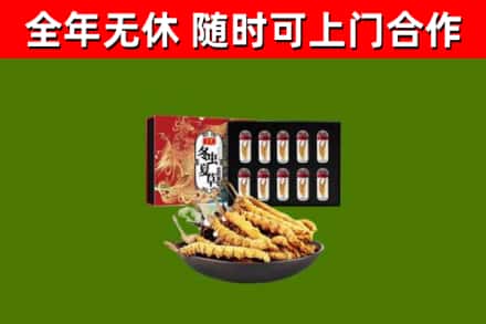 许昌市回收冬虫夏草价格